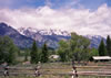 The Grand Tetons