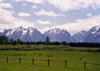 The Grand Tetons