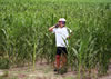 Cindy, all ears, in a Nebraskan cornfield