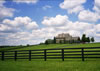 A beautiful Kentucky horse farm